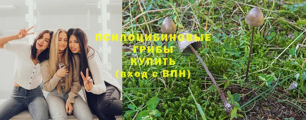 хмурый Баксан