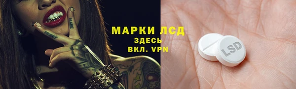 ПСИЛОЦИБИНОВЫЕ ГРИБЫ Балахна
