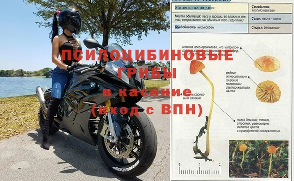 хмурый Баксан