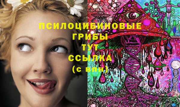 spice Новодвинск
