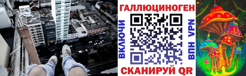 купить   Петров Вал  Псилоцибиновые грибы MAGIC MUSHROOMS 
